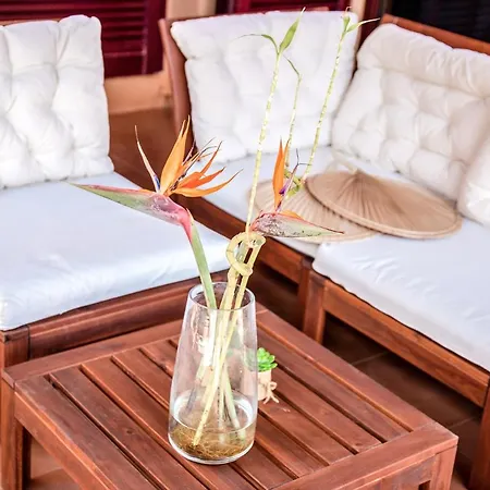 Holidayvilla Tropical - Bbq , Pool , Garden By Holidays